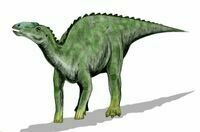 Artist reconstruction of Kritosaurus